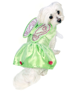 tinker bell dog costume