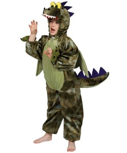 Dinosaur costume - kids