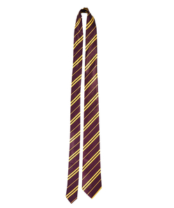 School Boy Wizard tie