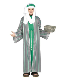teen wise man costume