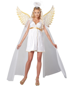 Radiant Angel Costume
