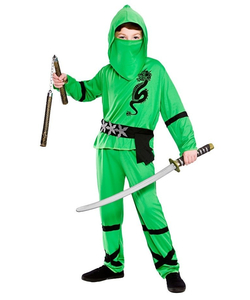 Power ninja costume
