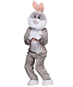 The Rabbit Costume