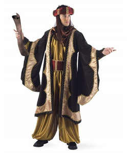 Royal Knight Costume