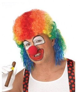 Clown Mullet Wig