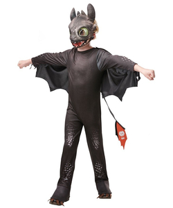 Toothless - How To Train Your Dragon