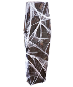 Coffin With Gauze And Spiderweb