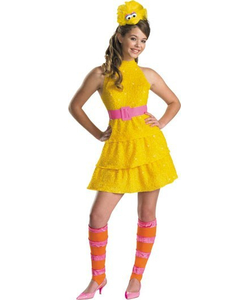Big Bird Teen Costume