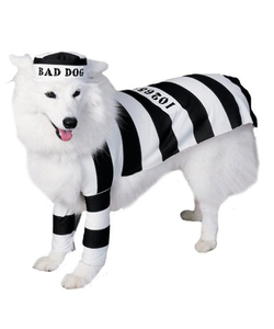 Prisoner Dog Costume