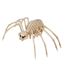 Skeleton Tarantula Prop