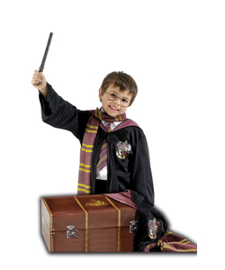 Harry Potter Trunk