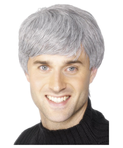 Father Ted Wig