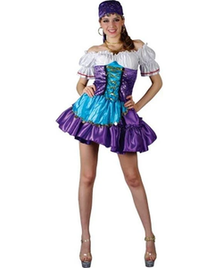 Gypsy Fortune Teller Costume