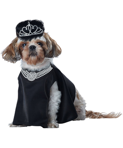 Barkfest at Sniffany's - Pet Costume