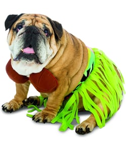 Hula Dog Costume
