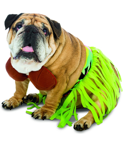 Hula Dog Costume