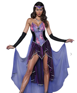 Seductive Sorceress Costume