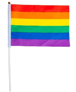 Rainbow Flag on stick