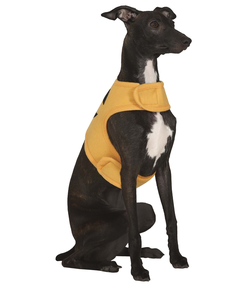 Pumpkin Tunic Dog Costume