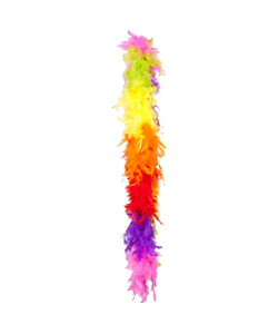 Rainbow Feather Boa - 50g