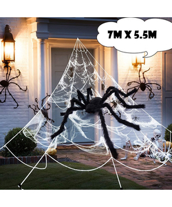 Giant Indoor/Outdoor Spider Web