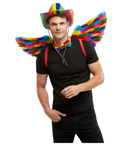 Rainbow Feather Wings