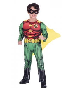 Robin Classic Costume - Kids