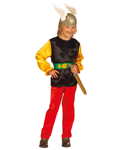 Gaulois Costume - Tween