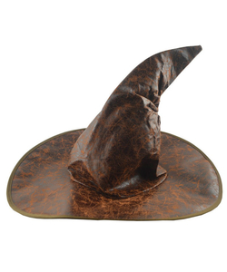 Wizards Hat