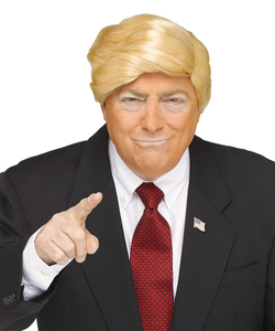 Trump Wig
