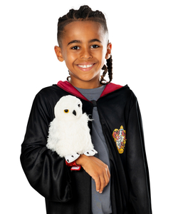 Harry Potter Hedwig