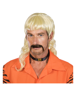 Not You Average Joe Wig & Moustache