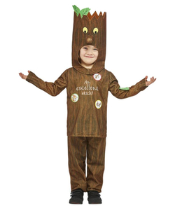 Julia Donaldson Stickman Costume