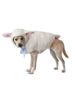 Sheep Dog Costume