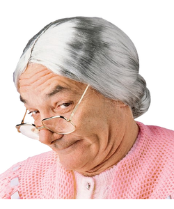Grandmother Wig - Grey