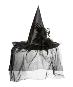 Spider Witch Hat