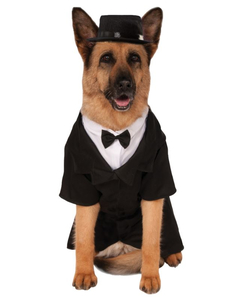 Dapper Dog Costume