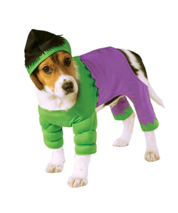 Hulk Pet Costume