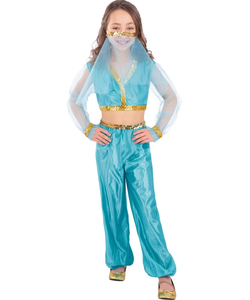 Arabian Princess Costume