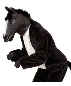 Black Horse Mask