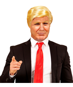 The President Wig