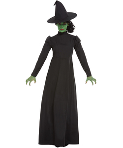 Wicked Witch Costume - Ladies