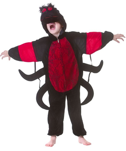 Kids Spider Fancy Dress