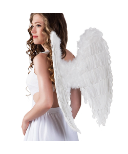 Angel Wings - 65cm