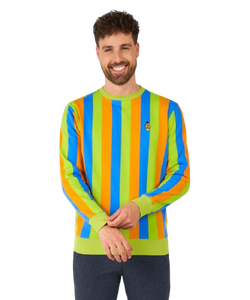 Sesame Street Bert Sweater - Adult