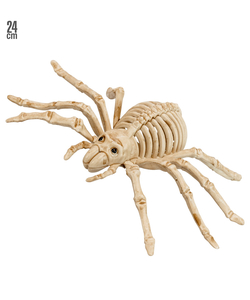 Spider Skeleton