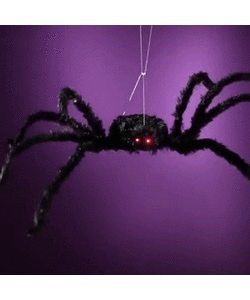 Animated Giant Spider