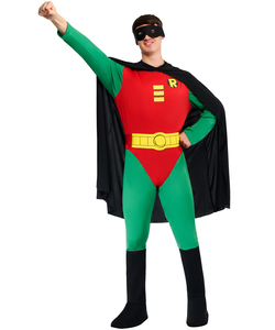 Robin Costume