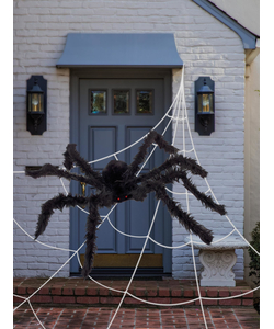 Giant Spider & 1.2M Web