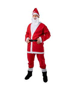 6 Piece Adult Budget Santa Costume
